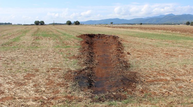 El rastre que simulava l'impacte d'un meteorit al camp d'Esponellà. Jaume Colomer