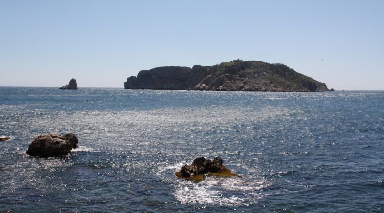 L'arxipèlag de les illes Medes es troba situat només a una milla de la costa. ACN