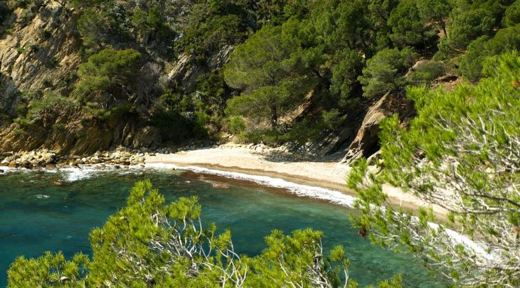 Vista superior de Cala Rustella. covetotop.wordpress.com