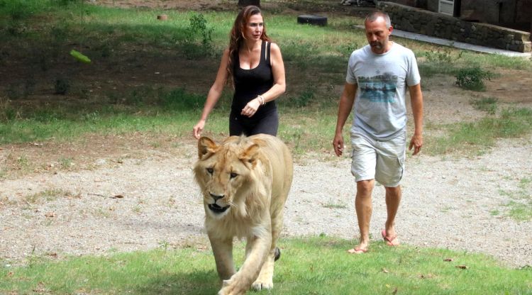 Pla general de la Mada, l'Eloi i el lleó Simba passejant per la finca. ACN