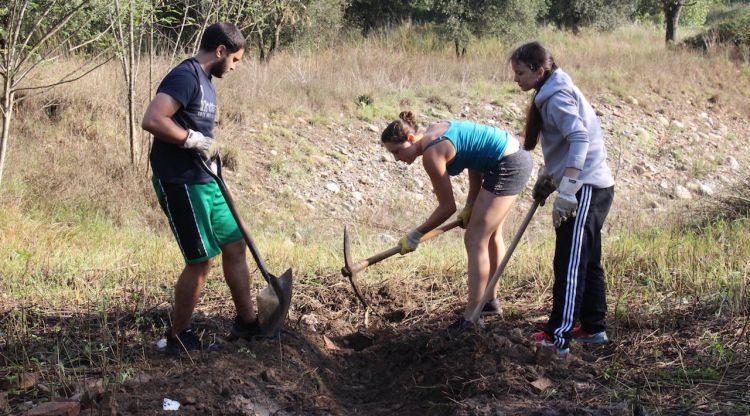 Tres joves treballant en la bassa dels Ànecs