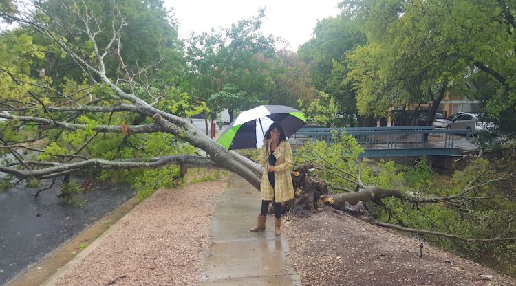 Núria Auguet davant un arbre caigut per l'efecte de l'huracà Harvey a Austin (Texas). Ross Krachey
