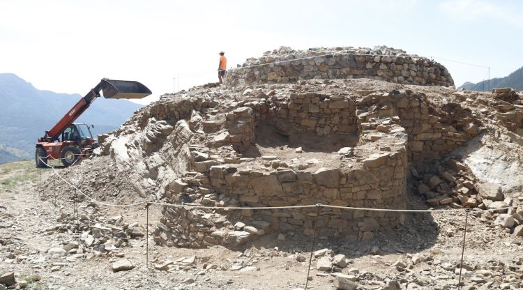 Una de les bestorres en primer pla que han aparegut a la Torre de Campelles. ACN