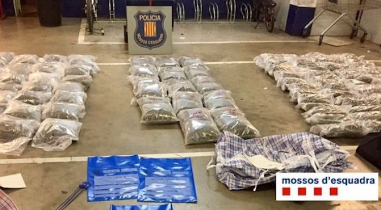 Els gairebé 100 quilos de droga comissada pels Mossos d'Esquadra