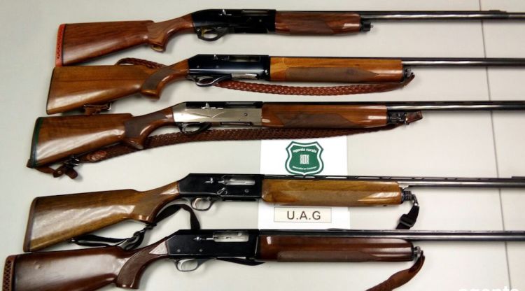 Les cinc escopetes que els Agents Rurals han comissat a la zona de Susqueda i el riu Ter. ACN