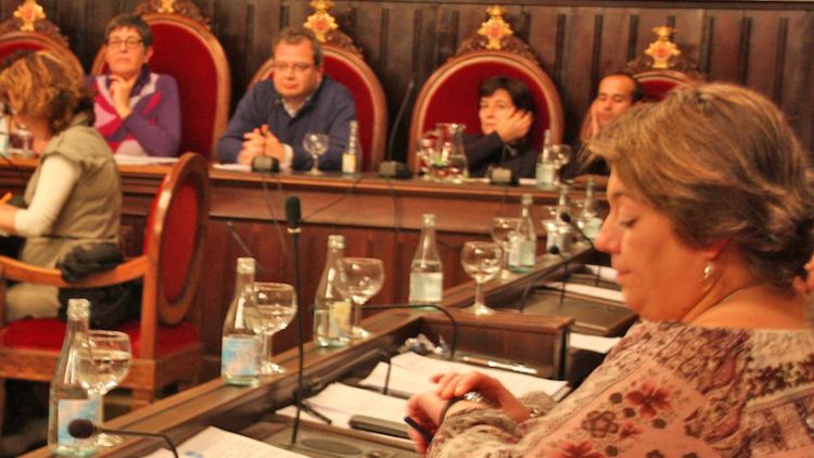 La portaveu del PP, Concepció Veray, va portar la moció al ple (arxiu)