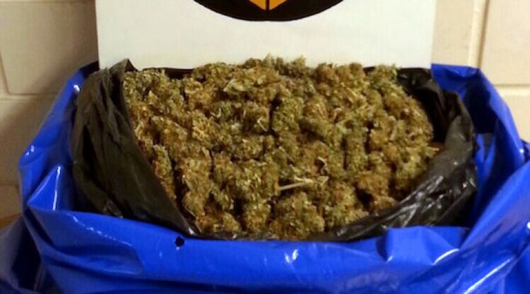 La bossa de marihuana interceptada en un cotxe a Olot