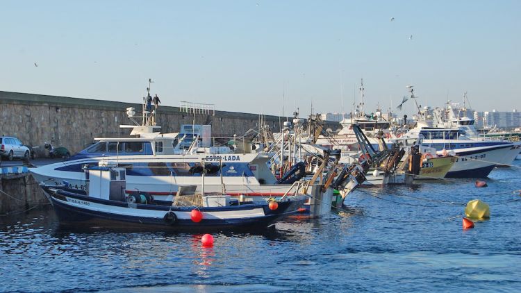 Port de Blanes, un on està permesa la pesca del sonso (arxiu) © ACN
