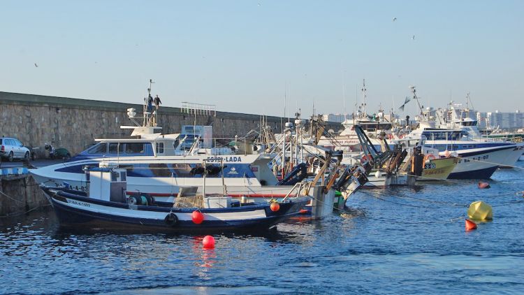 Captures i vaixells pesquers de la Confraria de Blanes en una imatge d'arxiu