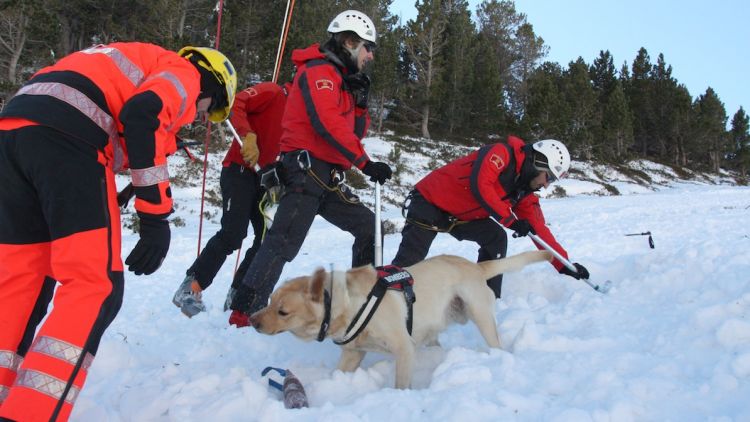 Els Bombers treballant en una allau (arxiu)