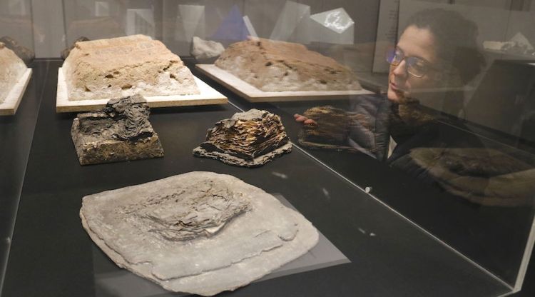 Algunes peces de l'exposició del Museu de la Garrotxa de ceràmica japonesa. ACN