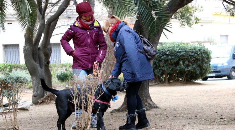 Una agent de civisme parlant amb una noia amb un gos en un parc de Figueres. ACN
