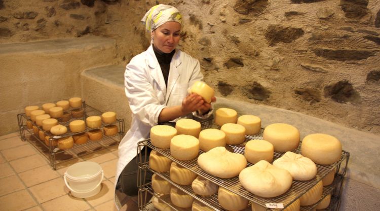Sara Gutiérrez, rentant formatges que estan madurant molt a prop del seu ramat de cabres a Éller. ACN