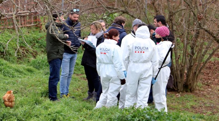 La policia científica en un dels terrenys que han estat registrant vinculats al detingut pel doble crim de Susqueda. ACN