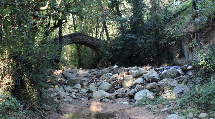 La resclosa del Molí de les Pipes d'Arbúcies