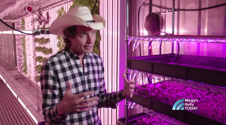 Kimbal Musk en un reportatge del programa Today de la cadena NBC. NBC Network