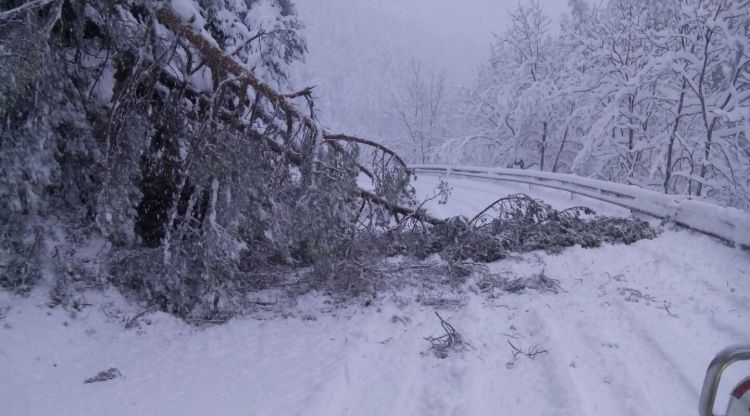 La carretera GIV-4016 tallada per la nevada d'aquesta matinada. Diputació de Girona