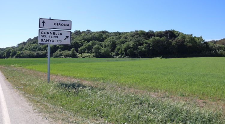 Els terrenys de la zona sud del polígon de Pont-Xetmar de Cornellà del Terri on es farà l'ampliació. ACN