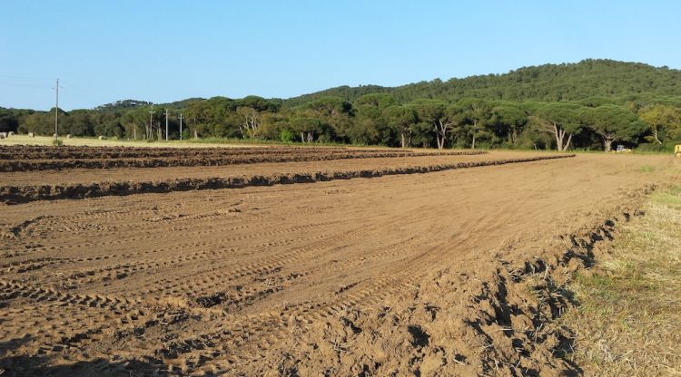 Aquesta setmana s'han realitzat els treballs per habilitar els terrenys de Castell que acullen l'espai d'aparcament