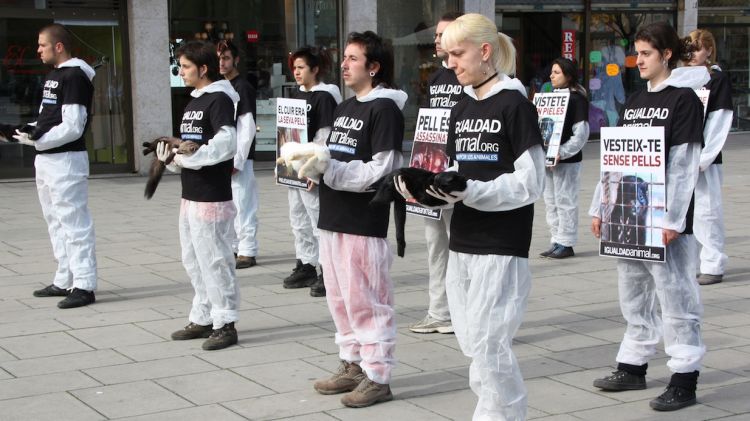 Els activistes pretenen fer una proposta similar a Tarragona i a Lleida © ACN