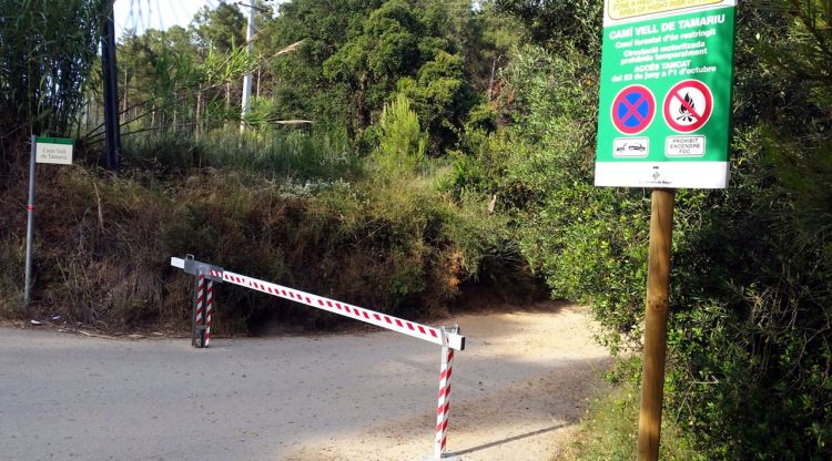 Pla mig de la barrera que impedeix el pas al camí vell, aquest matí