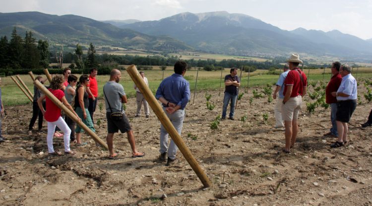 Els alumnes del curs de Vinya d'altura de la Universitat d'Estiu Ramon Llull Puigcerdà visitant una finca experimental a Bolvir. ACN