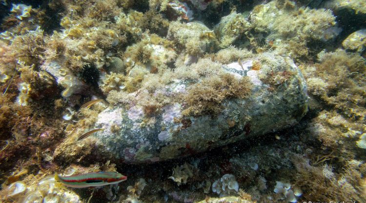 El projectil trobat ahir a les Illes Formigues. Ramon Casabayó