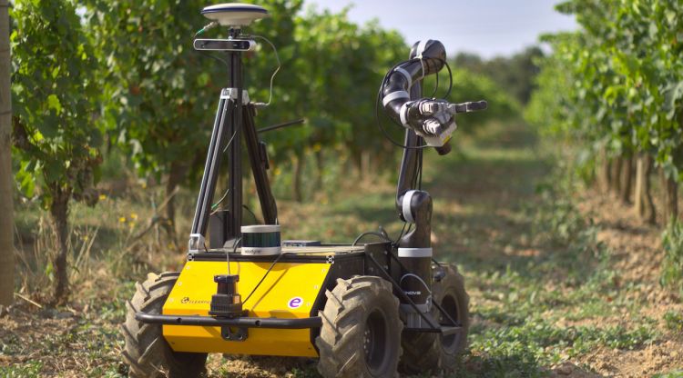 El robot Grape que s'ha provat a les vinyes de Mas Llunes a Garriguella (Alt Empordà)
