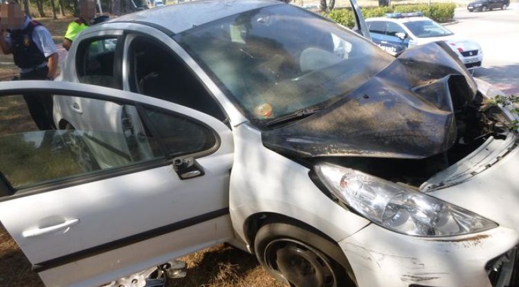 El cotxe es va estampar contra una pineda al costat de la carretera