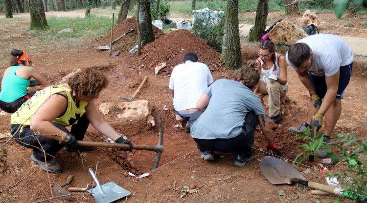 Pla general de l'excavació a Roca Foradada. ACN