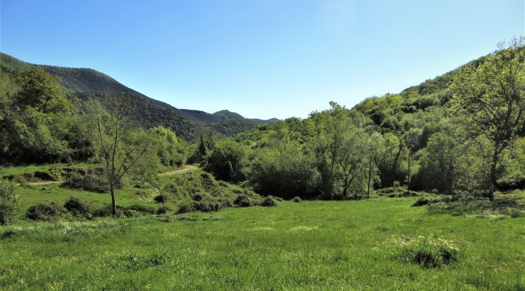 Vista del Puig de l'Ofrena a Riuraura