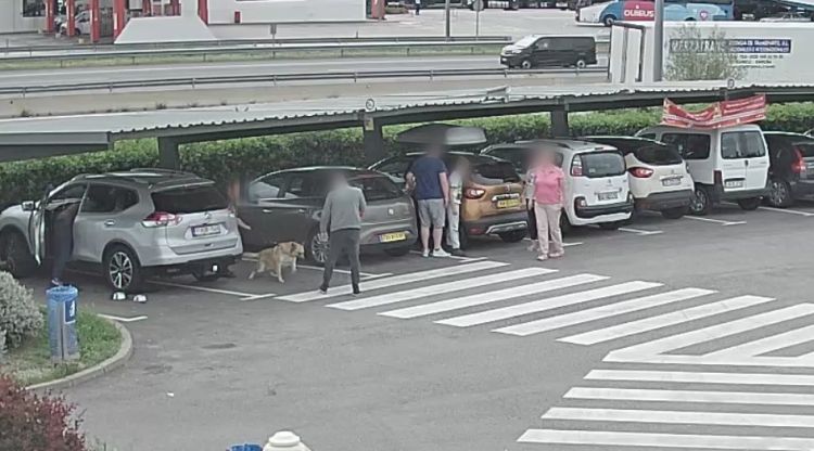 El grup criminal que robava a turistes actuant en una de les àrees de servei de l'AP-7