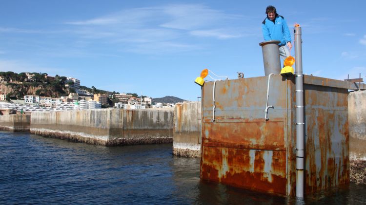 Imatge del prototipus que s'ha instal·lat en un dels calaixos del dic de Sant Feliu de Guíxols © ACN