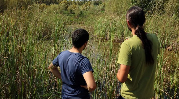 Dos tècnics de la fundació contemplen una de les basses naturals creades per la subsistència de la tortuga. ACN