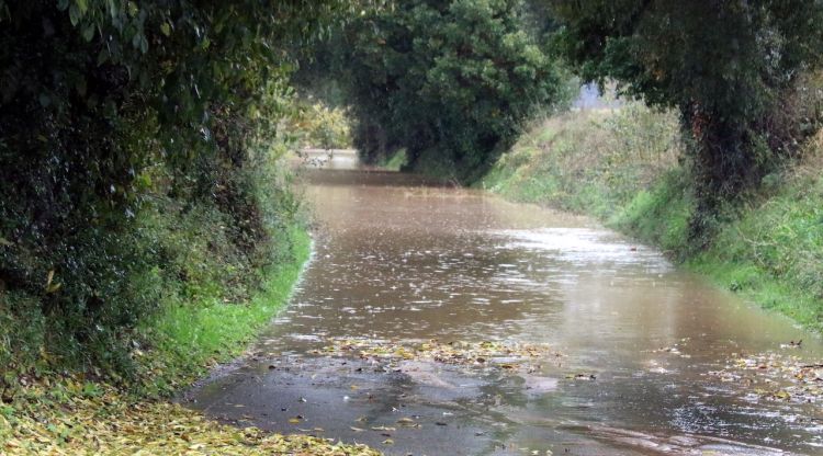Una carretera completament inundada a Forallac. ACN