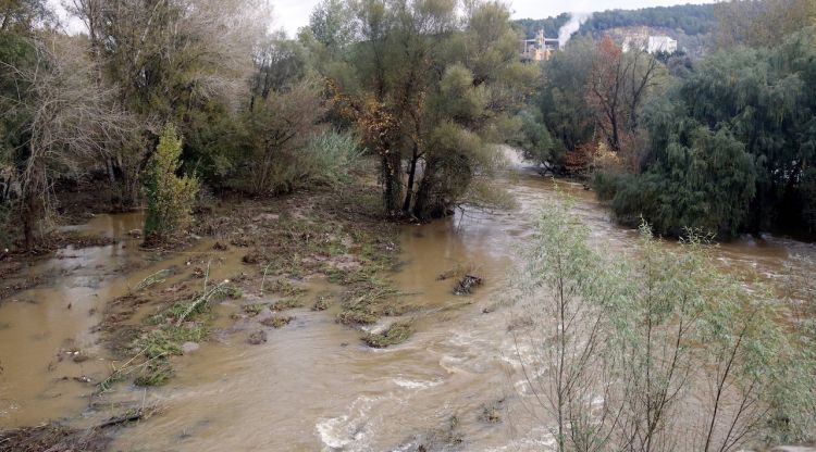 El Ter al seu pas per la zona de Pedret. ACN