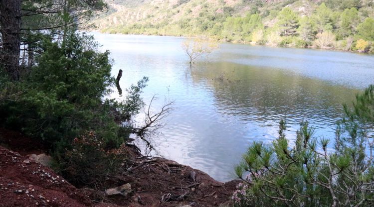 La zona on es va trobar el cadàver de l'home. ACN