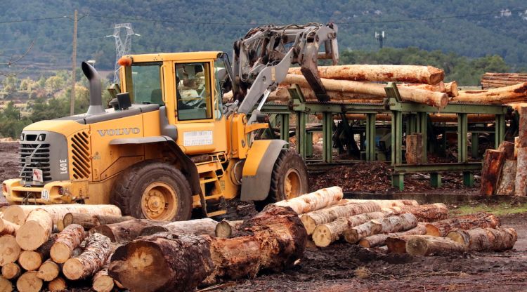 Una excavadora movent troncs a la Serradora Fontova, ubicada a Cabra del Camp (Alt Camp), la més gran de la demarcació. ACN