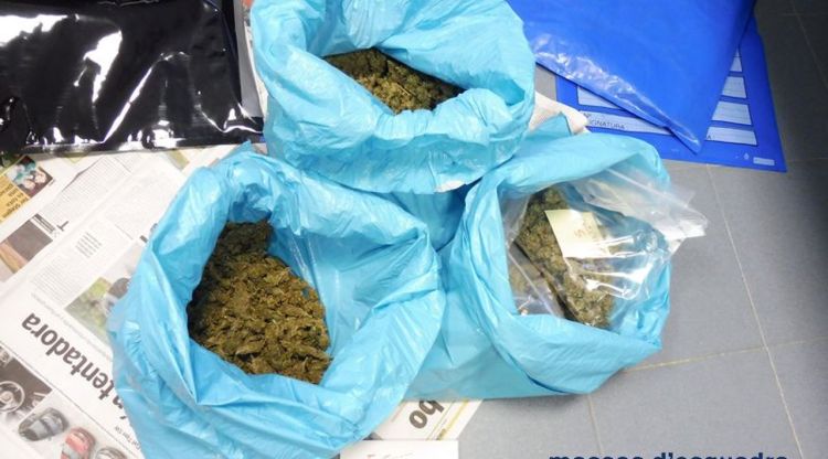 La marihuana comissada al punt de distribució de Torroella de Montgrí