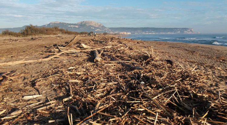 Estat en que va quedar una de les platges després del temporal de novembre