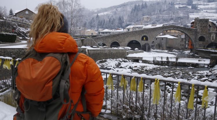 El pont de Camprodon nevat i una visitant en primer pla. ACN