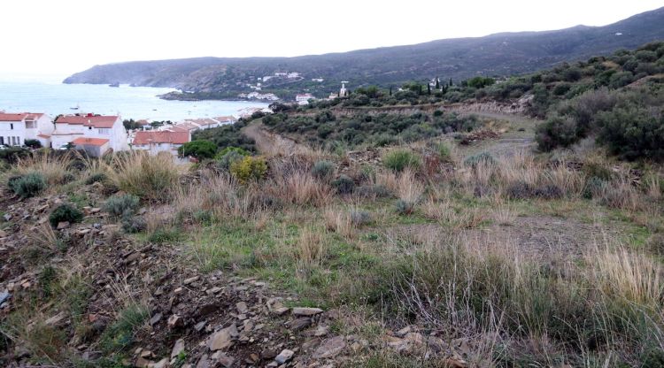 Pla general de la zona de Sa Guarda on s'ha obert un dels vials d'accés a la nova urbanització. ACN