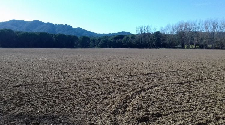 El sector de la Riera dels Molinets de Santa Cristina d'Aro on es preveu la construcció de 211 habitatges, un hotel i un camp de golf,
