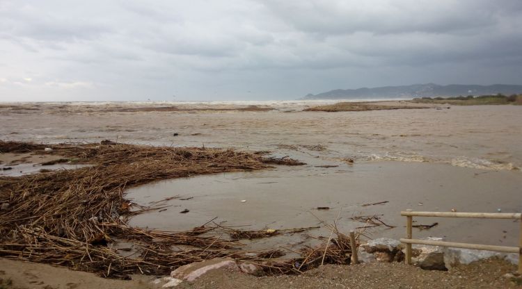 La gola del Ter després d'un temporal de mar el novembre de l'any passat. Quico G i M