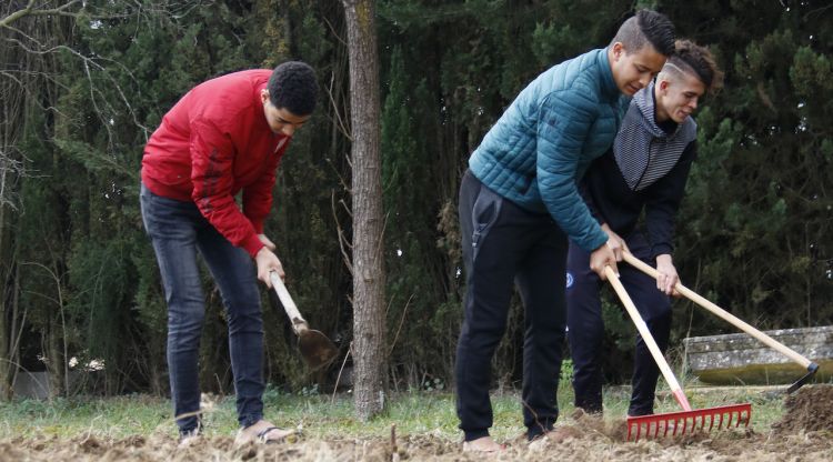 Alguns dels joves que viuen a la casa d'acollida per a joves immigrants no acompanyats treballant a l'hort. ACN