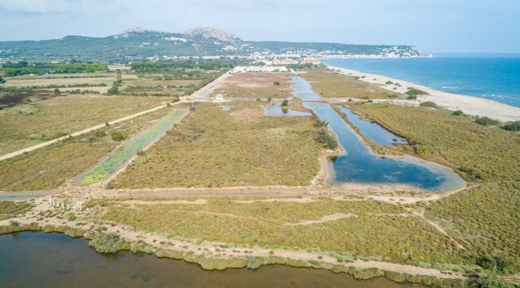 Pla aeri de la Pletera, una zona natural regenerada on hi havia parcialment construïda una urbanització a finals del segle XX