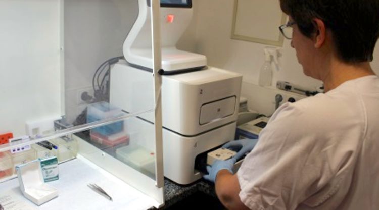 Una treballada de l'àrea d'Anatomia Patològica del Trueta a Girona mirant unes mostres