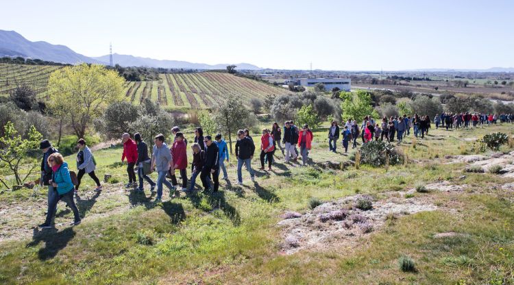 Un instant de la marxa pouplar entre vinyes celebrada l'any passat a Vilajuïga. Xènia Gasull