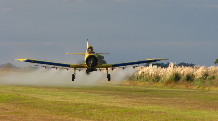 Una avioneta fumigant un camp. Santiago Nicolau