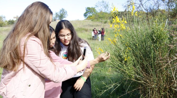 Alumnes de l'IES Brugulat de Banyoles fotografiant ginesta el 26 d'abril del 2019 per a la biomarató. ACN